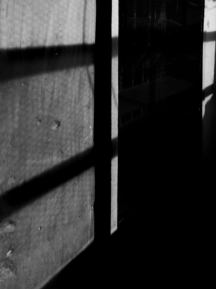 Shadows during the day