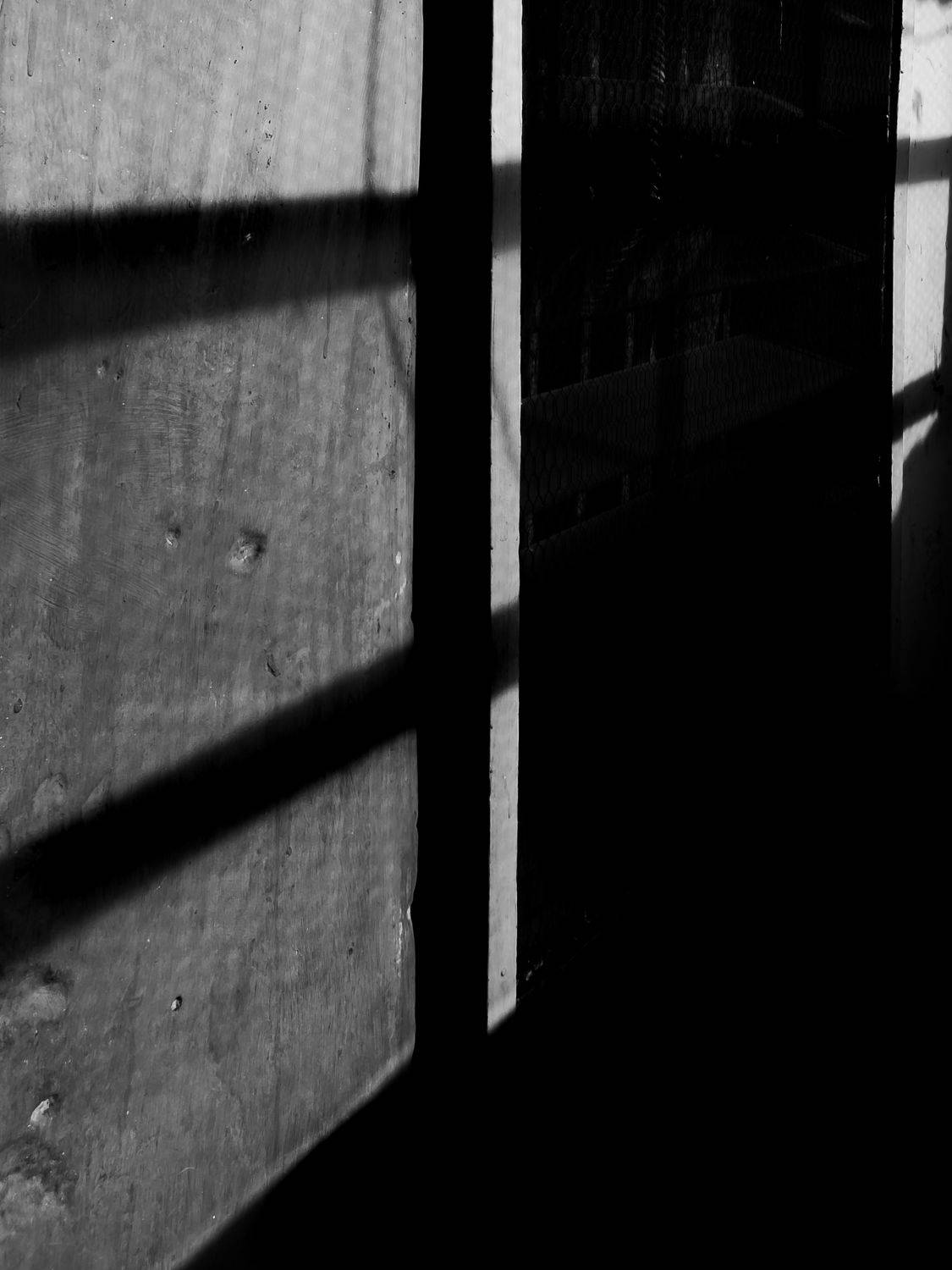 Shadows during the day