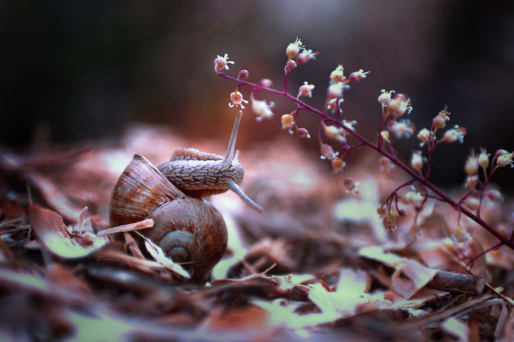 Photograph by Светлана