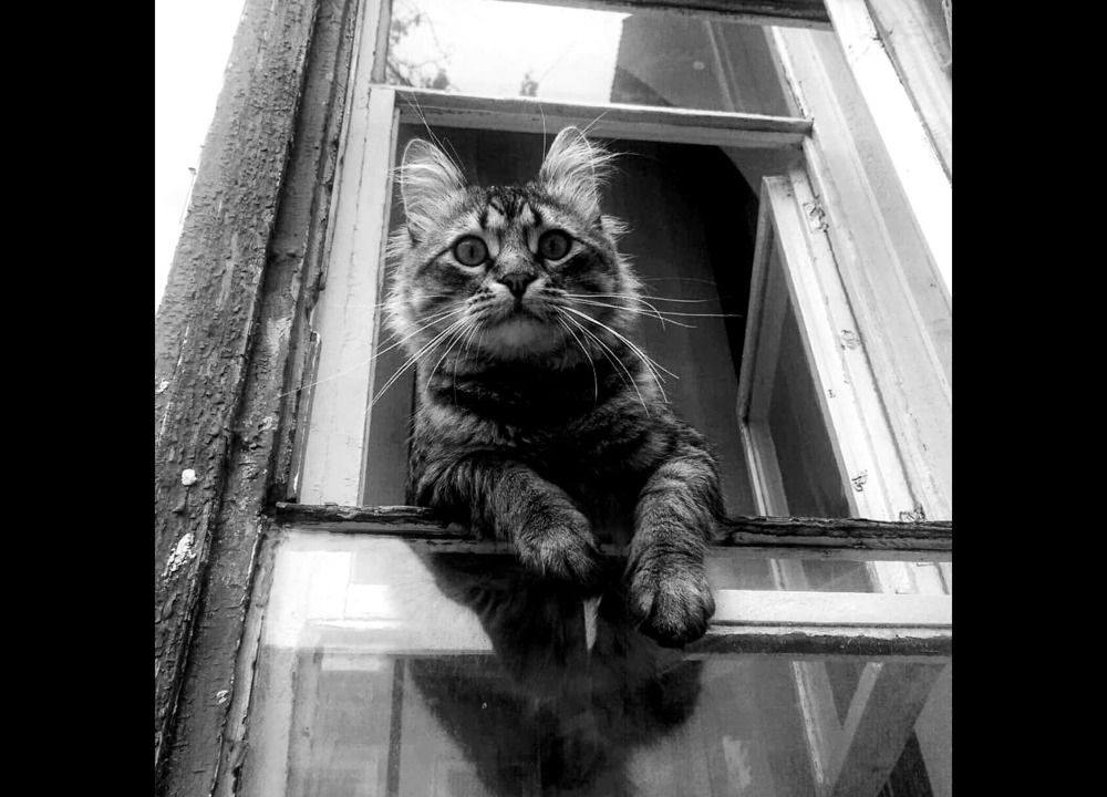 Photograph by Дмитрий Соколов