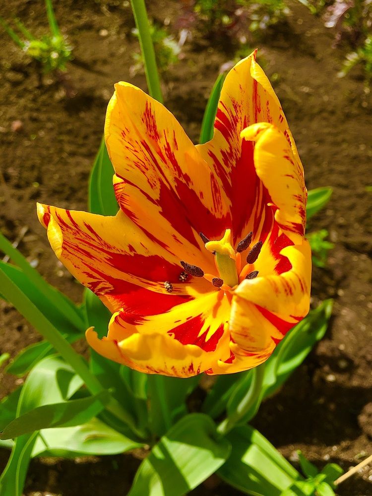 Photograph by Елена Макуха