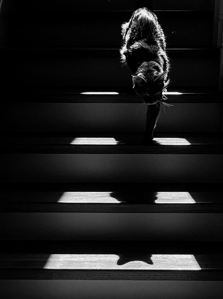 Photograph by Валерия Витте