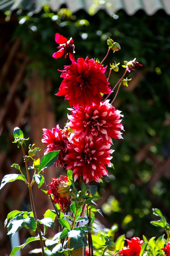 Photograph by Марина Ильева