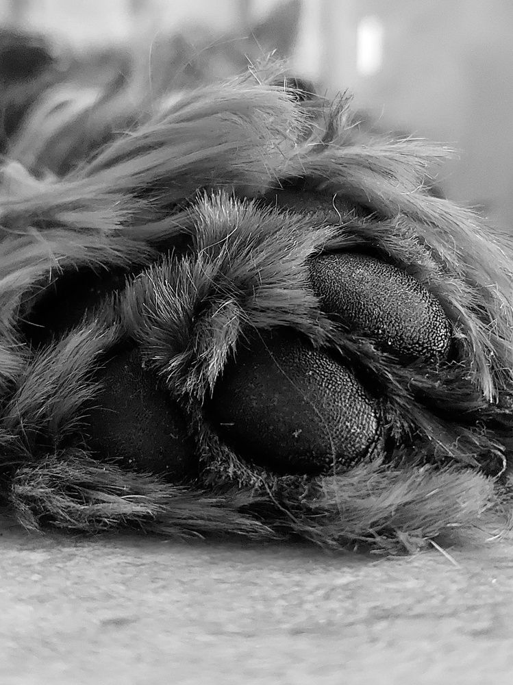 Photograph by Ирина Лучинская