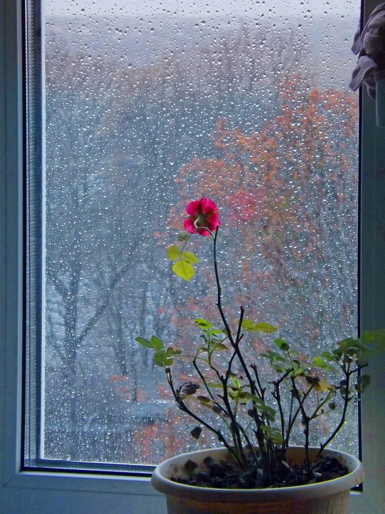 Photograph by Дмитрий Крылов