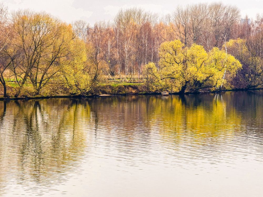 Последние краски осени.