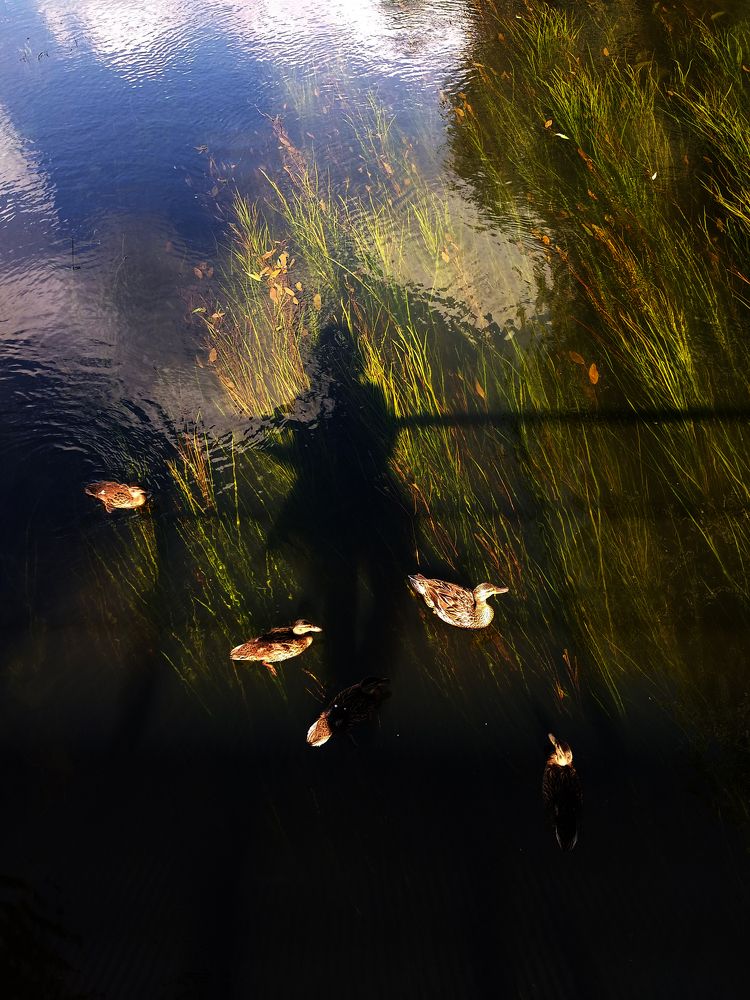 Photograph by Надежда Пидченко