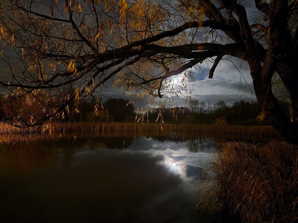 Photograph by Rolandas Valančauskas