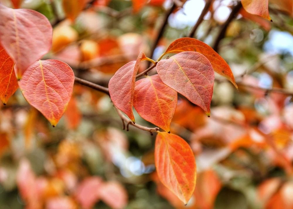 Photograph by Владимир Осипов