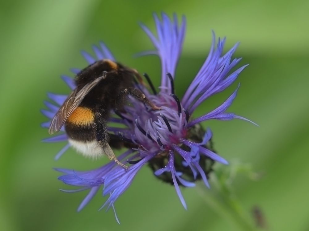 Photograph by Ирина Серегина