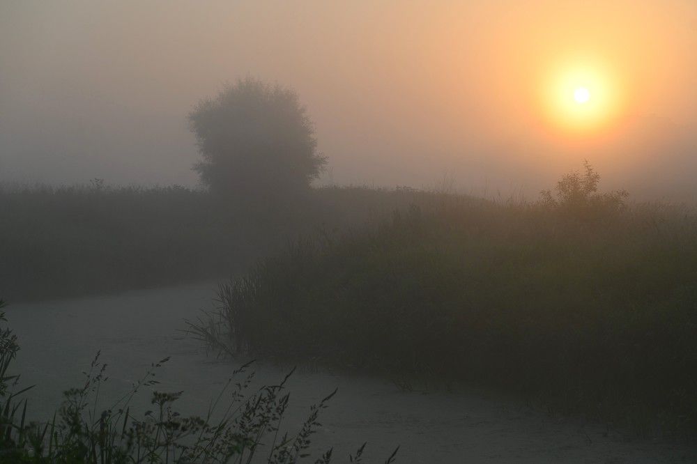 Фотография автора IRINA FILIPPOVA