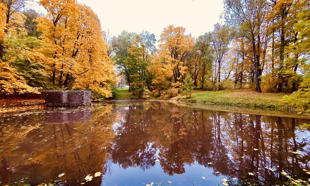 Photograph by Анна Лепихина