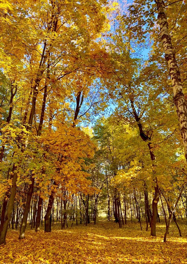 Photograph by Анна Лепихина