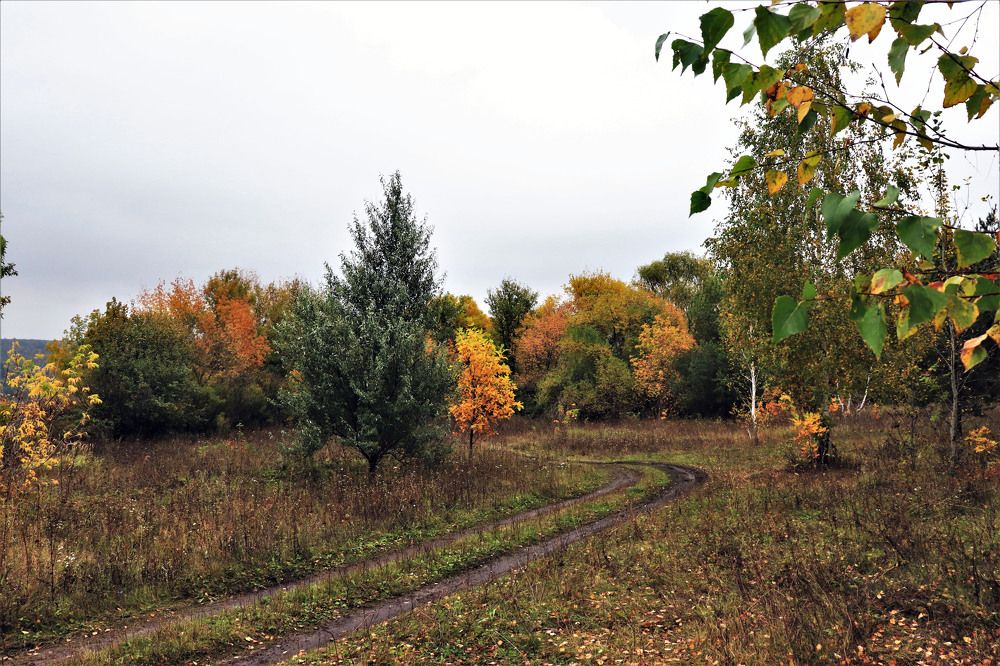 Photograph by Федоренко Элеонора