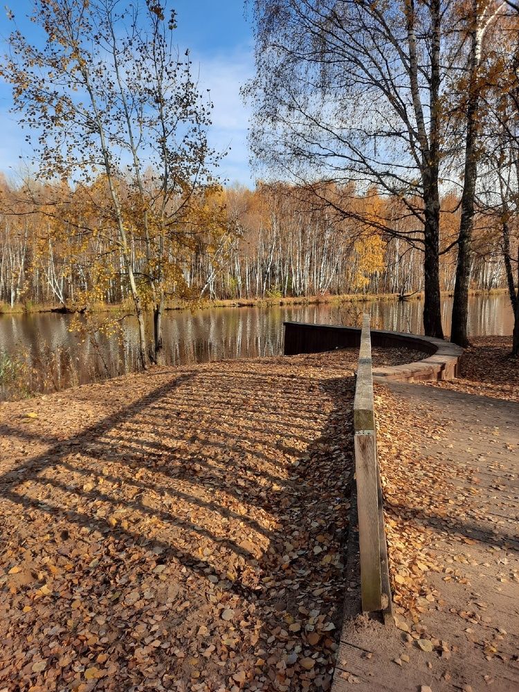 Фотография автора Елена Запертова