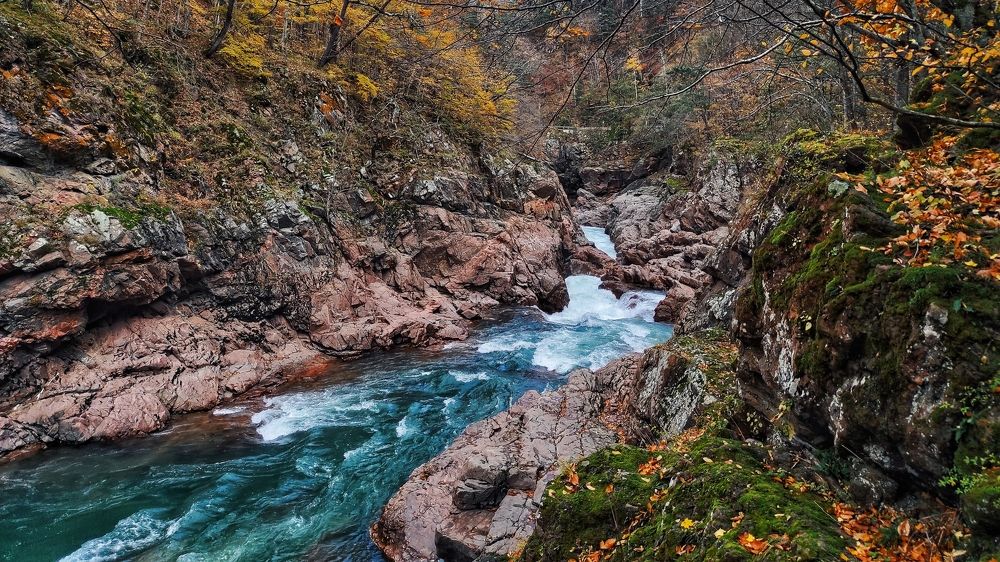 Photograph by Владимир Караман