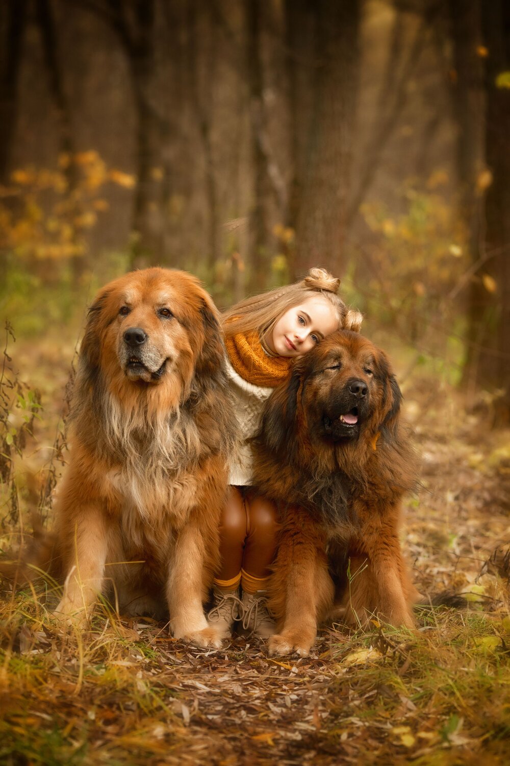 Photo #8333887