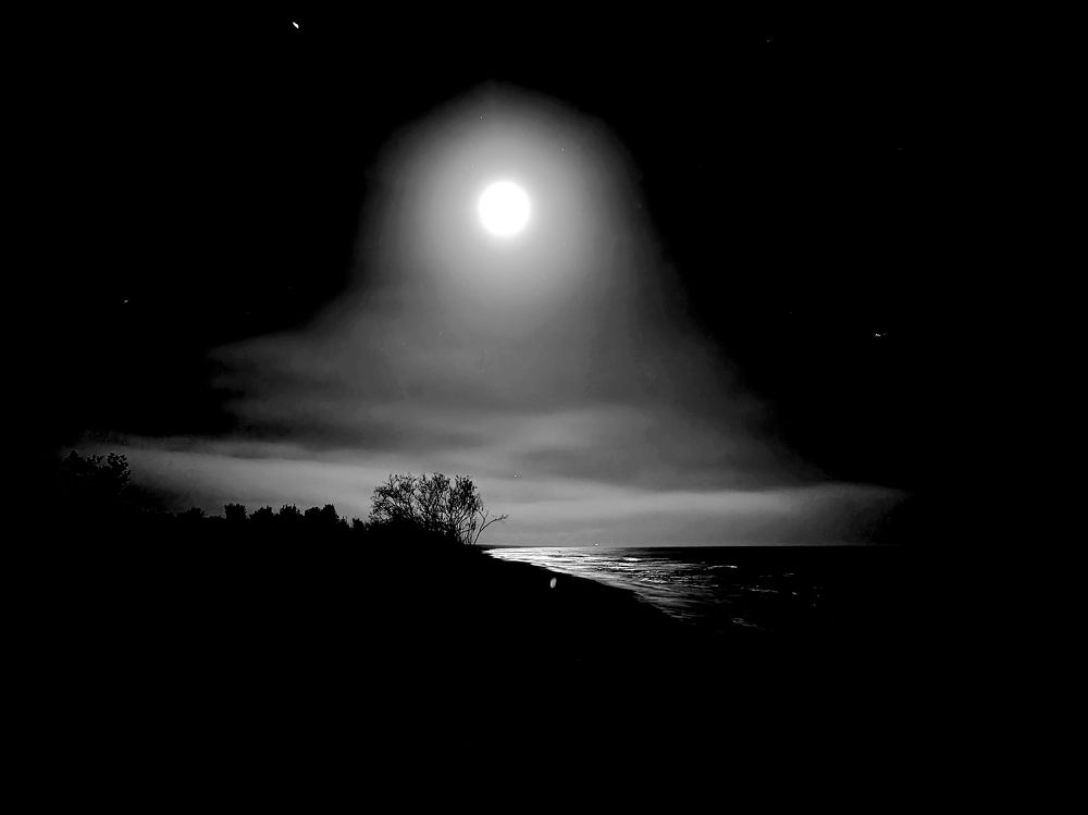 Photograph by Rolandas Valančauskas