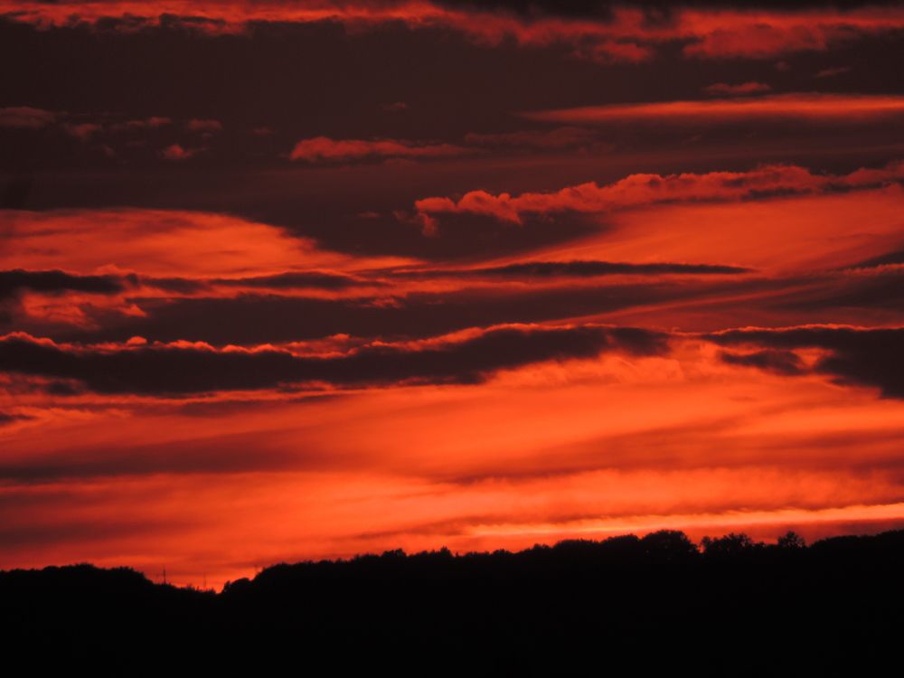 Photograph by Олеся Бучацька