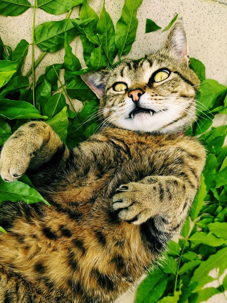 Photograph by  Рита