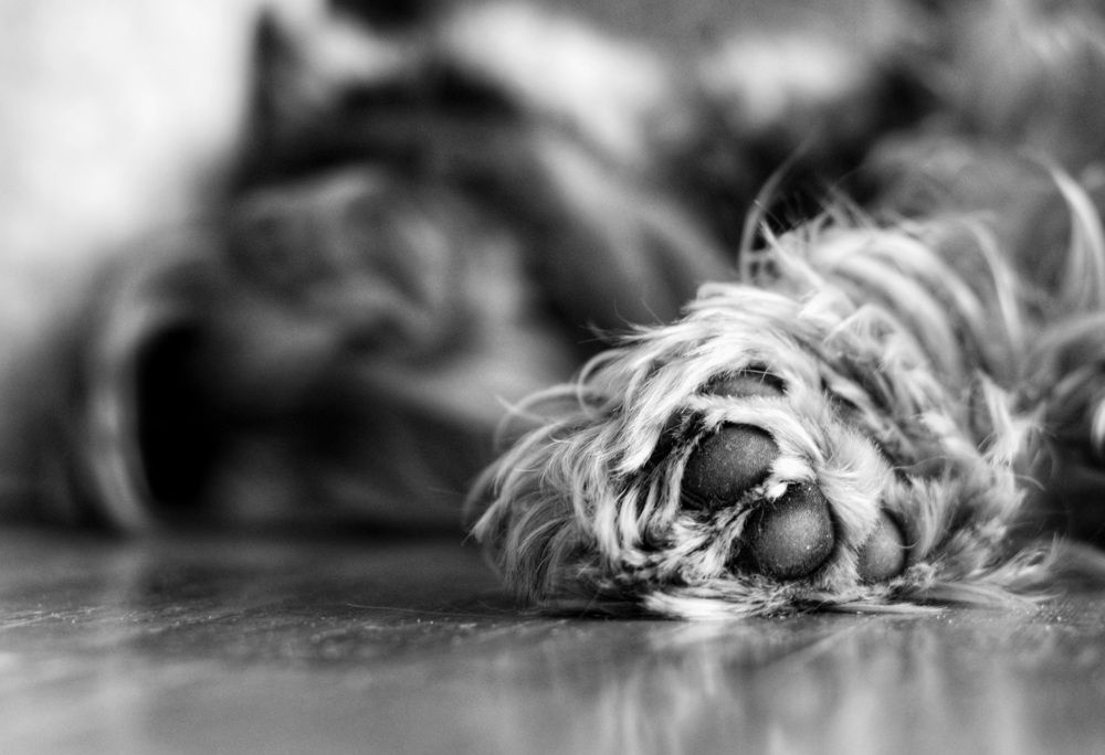 Photograph by Ирина Лучинская