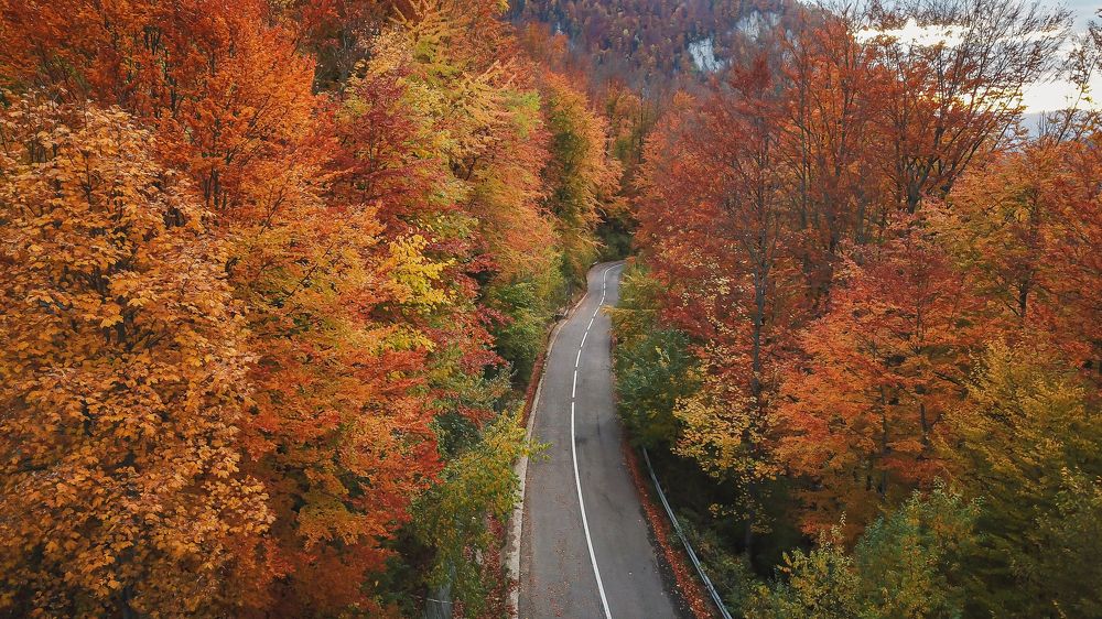 Photograph by George Alexandru Ghiuro