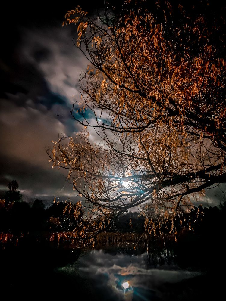 Photograph by Žaneta Bytautiene