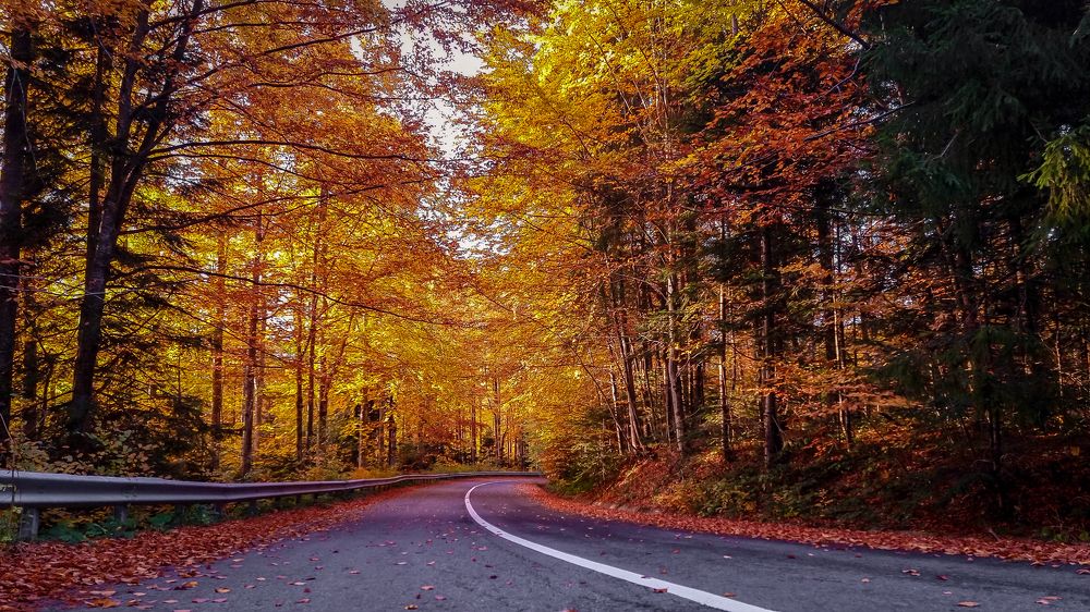 Photograph by George Alexandru Ghiuro