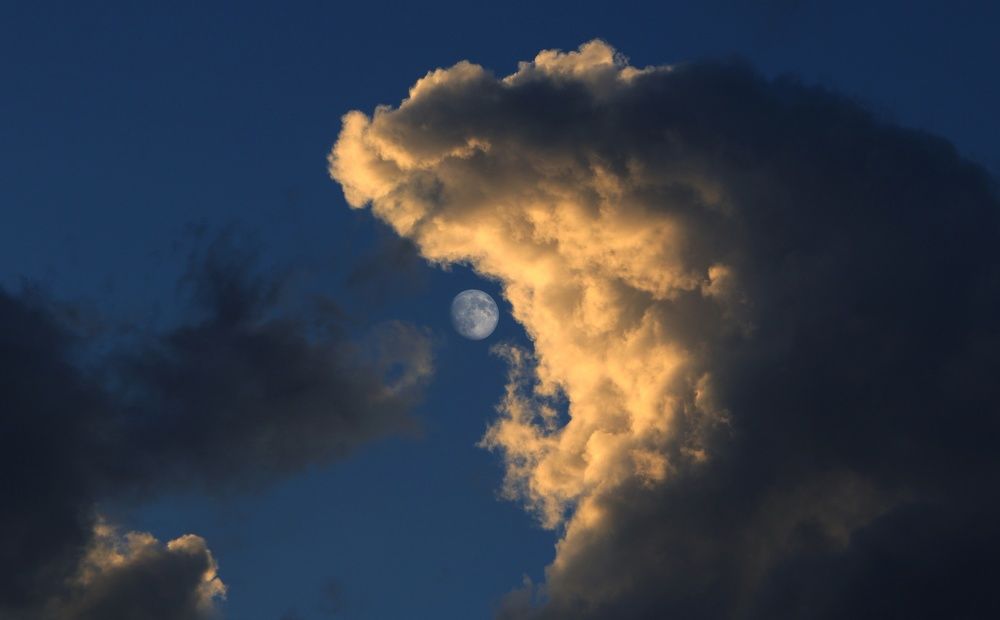 Photograph by Александр Шаварёв