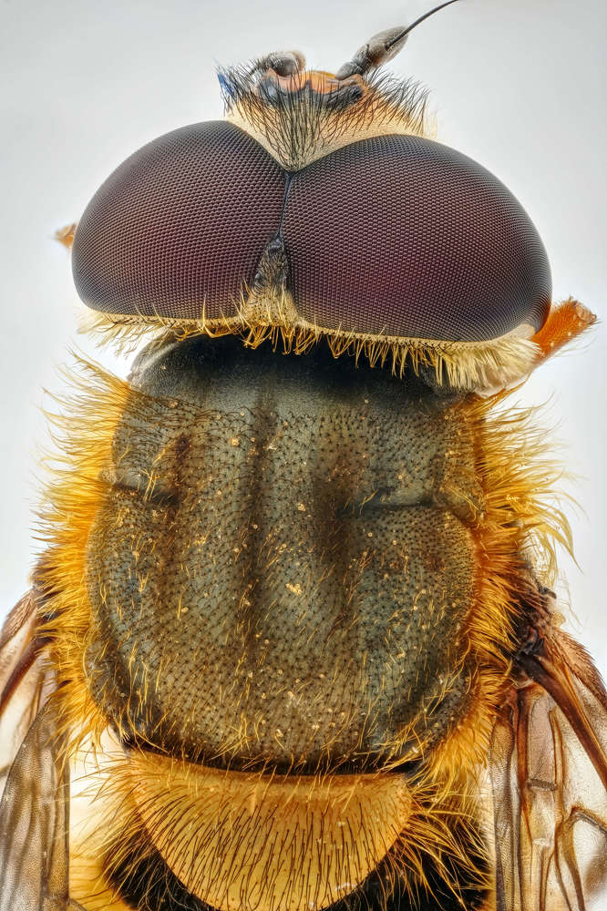 Photograph by Александр Трипольский