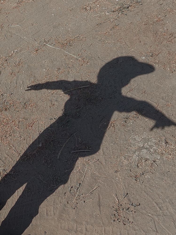 Photograph by Зульфия Вакилова