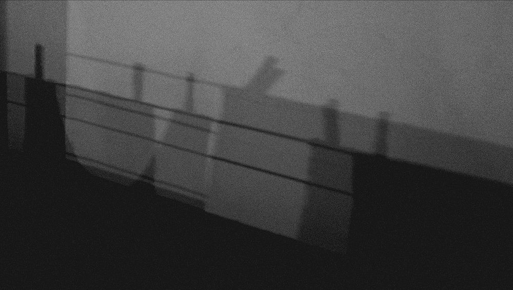 Photograph by Marta Machado Santos