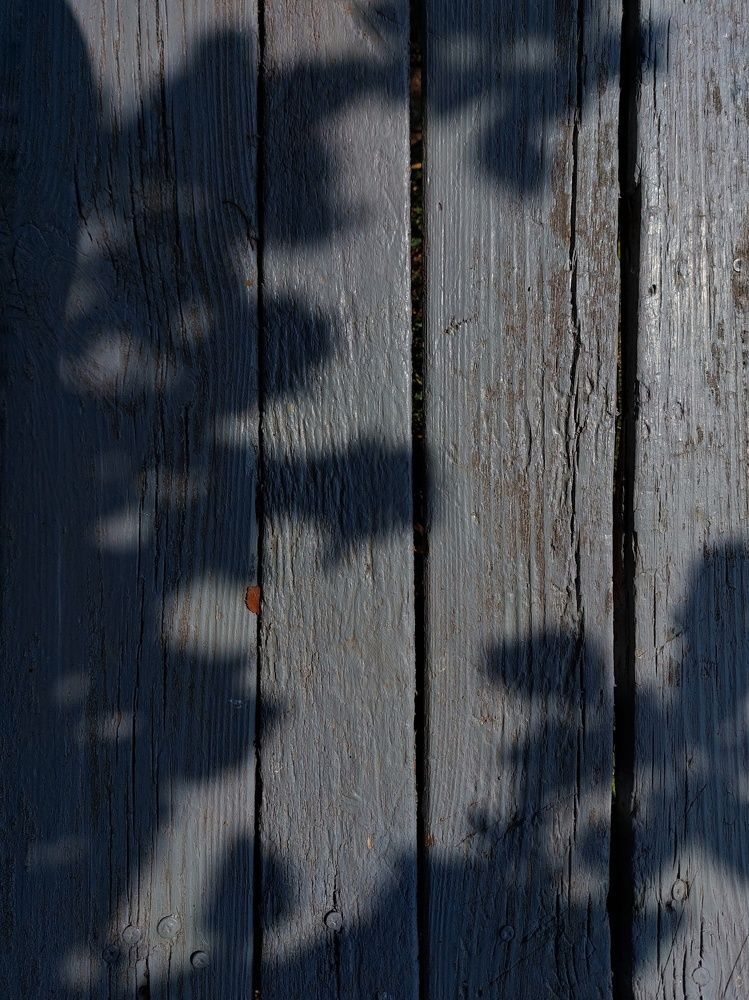 Photograph by Зульфия Вакилова