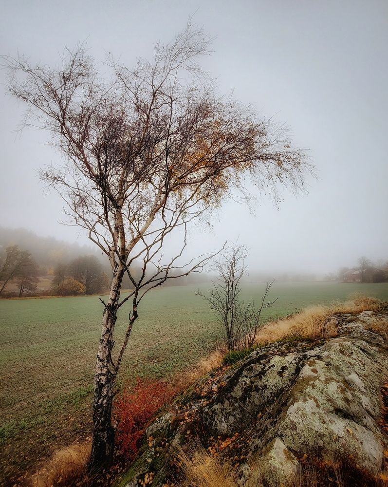 Фотография автора Alina Filimonova