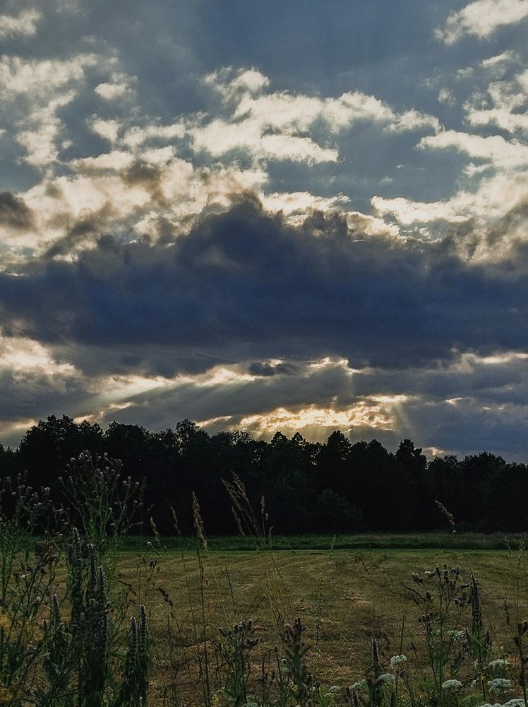 Photograph by Зульфия Вакилова