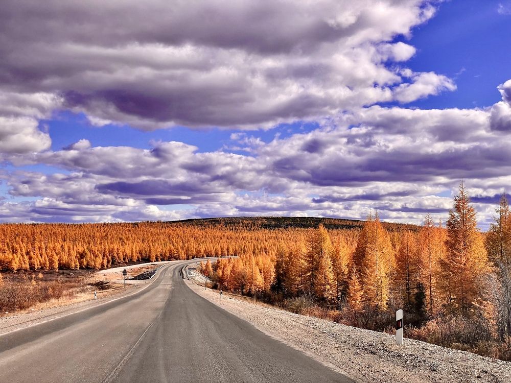 Photograph by Тимур Жилкибаев