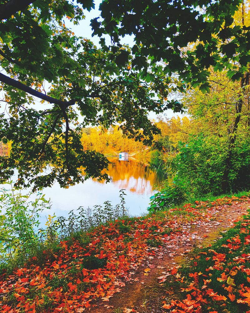 Леди Осень / Lady Autumn