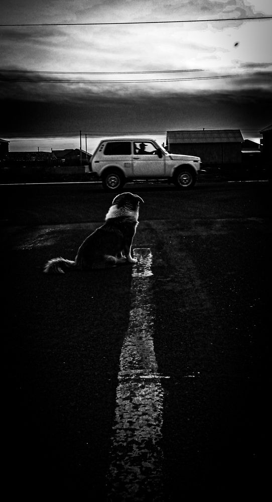 Наблюдающий