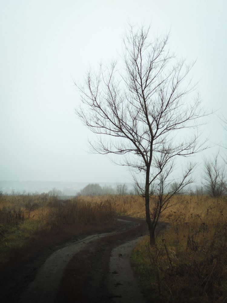 Photograph by Алексей Юдин