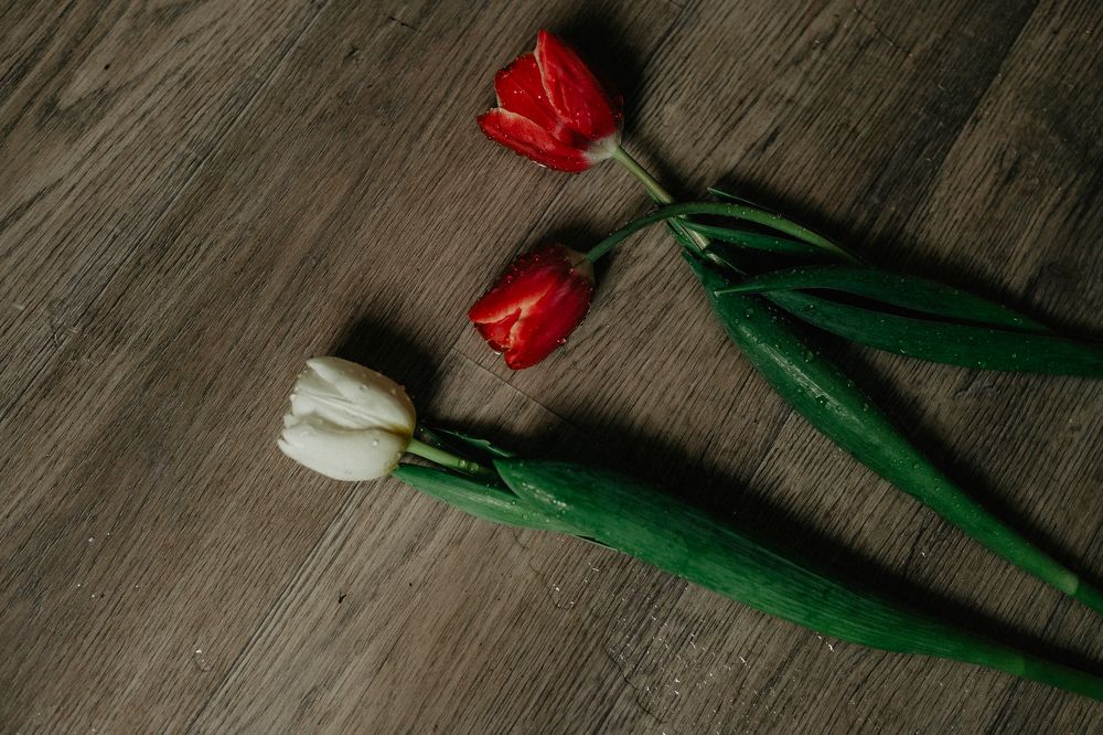 Photograph by Юлия Ефимова