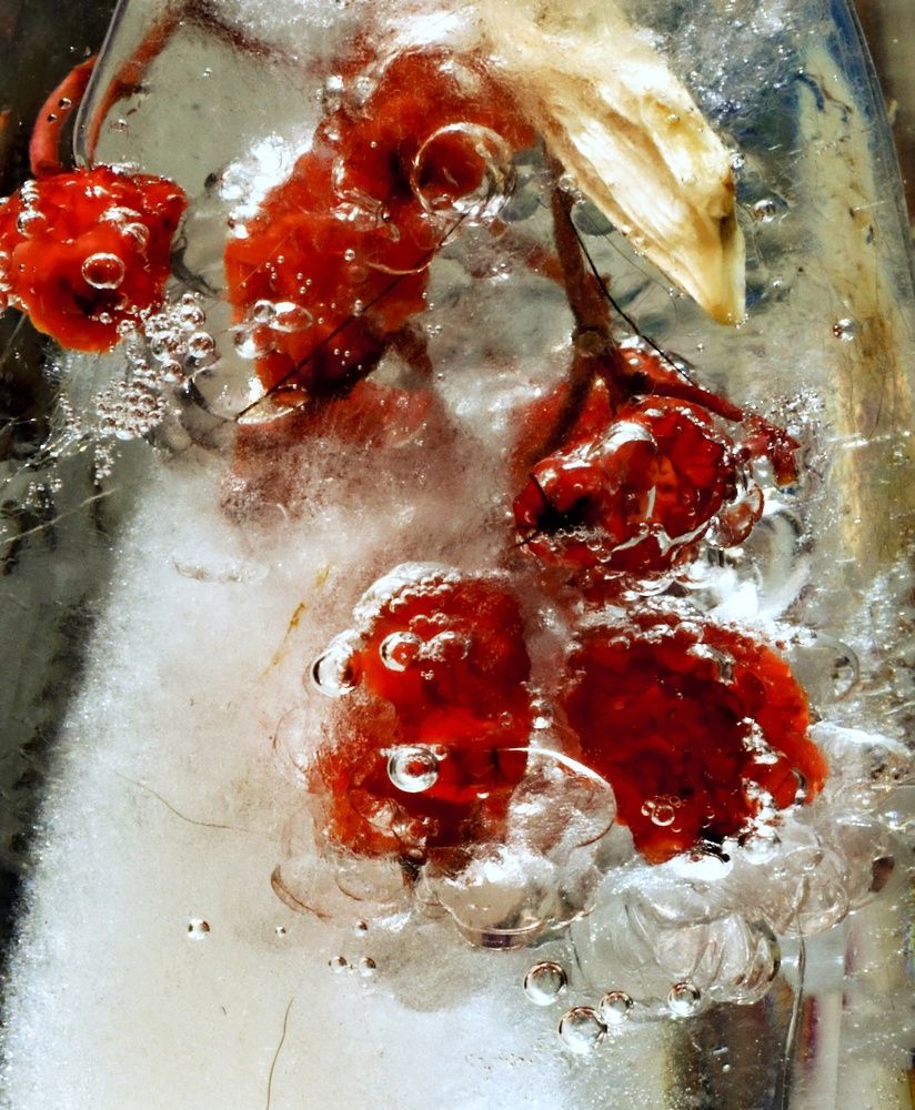 Жизнь под водой