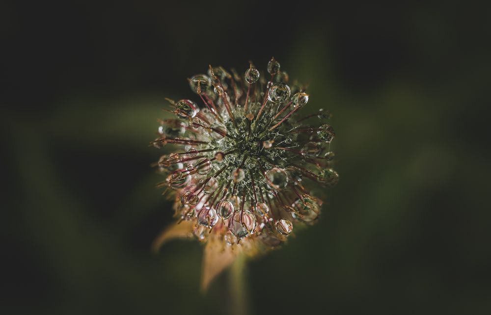 Photograph by Anna Turks