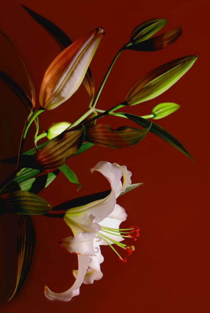 Photograph by Виктор Коршунов