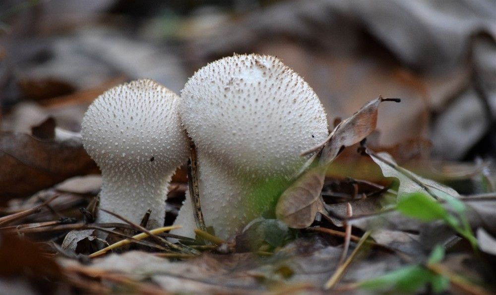 Photograph by Лариса Стрекулева