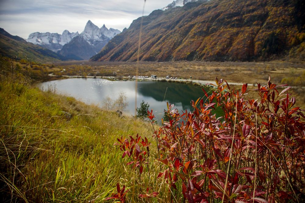 Photograph by Сафронов Александр