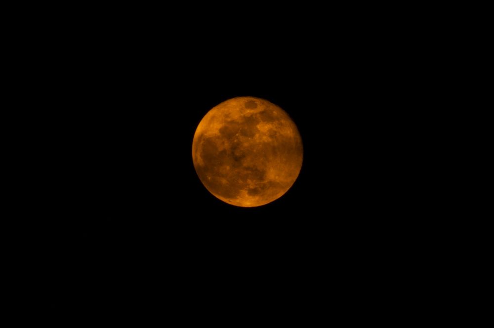 Фотография автора An Nguyen Quoc