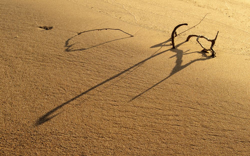 Photograph by Серега Вартман