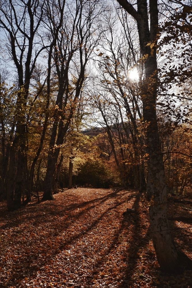 Photograph by Пузан Александр