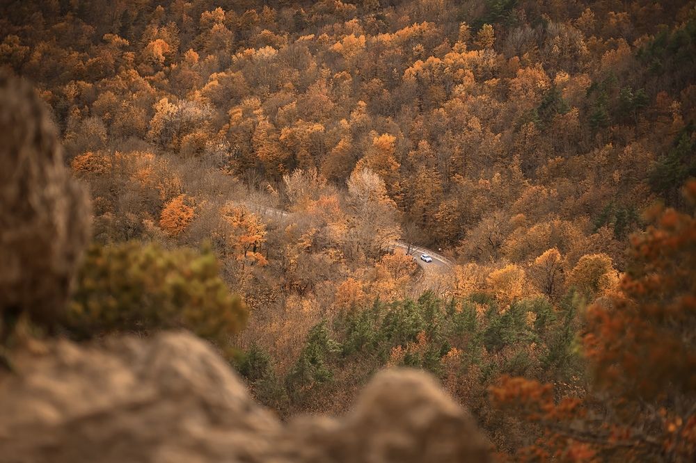 Photograph by Гузель Султангареева