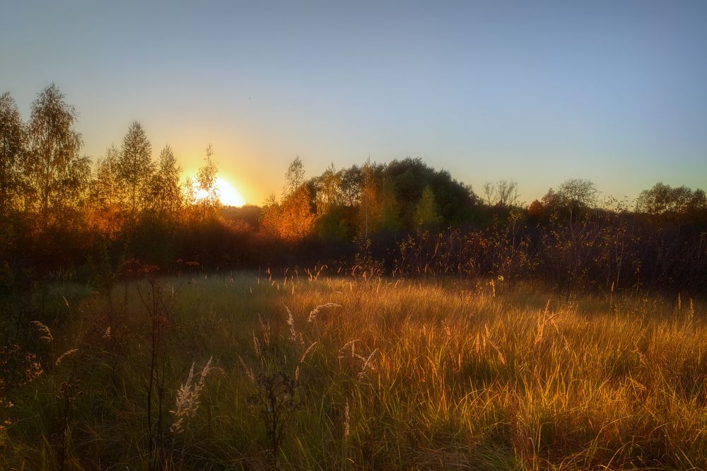 Photograph by Алексей Юдин